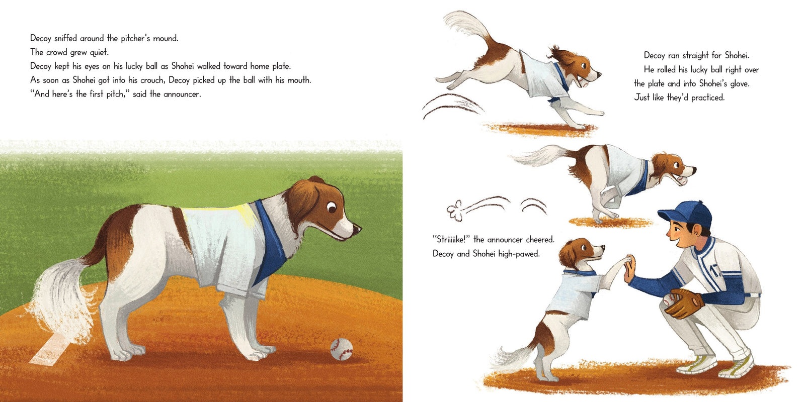 Harper Collins Decoy Saves Opening Day