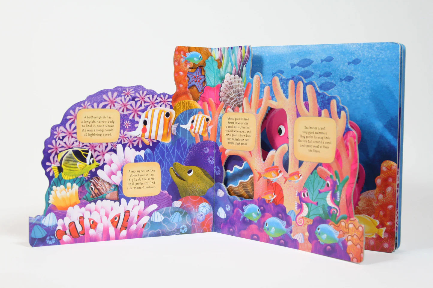 Fox Chapel Publishing Discovering the Secret World: Coral Reef