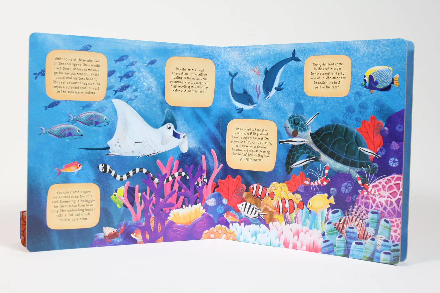 Fox Chapel Publishing Discovering the Secret World: Coral Reef