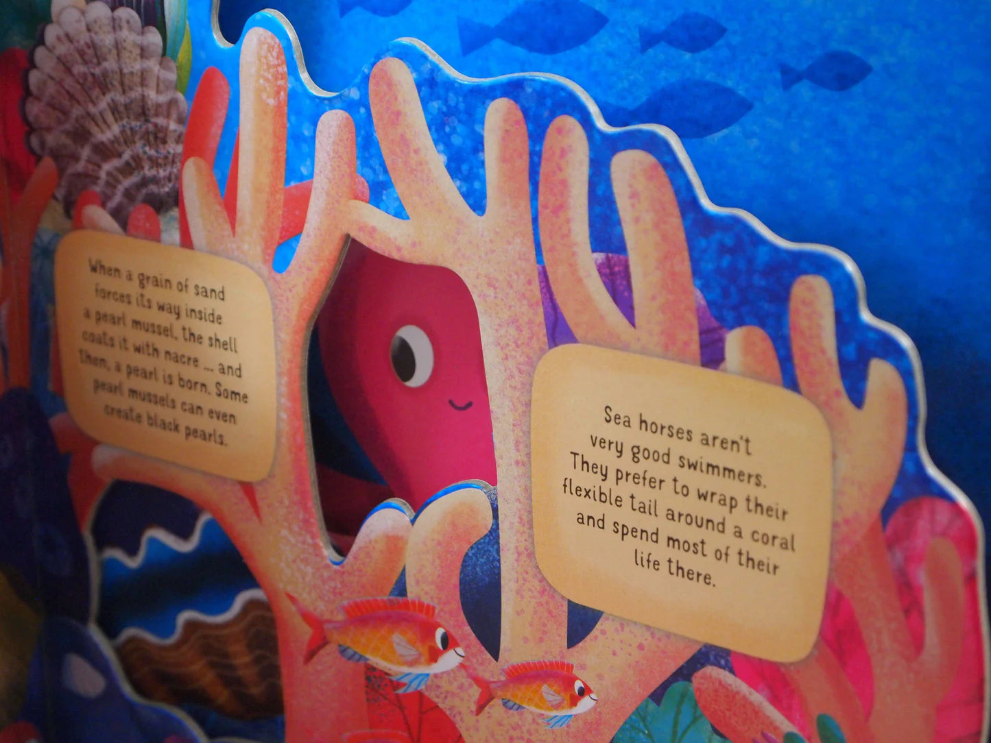 Fox Chapel Publishing Discovering the Secret World: Coral Reef