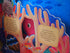 Fox Chapel Publishing Discovering the Secret World: Coral Reef