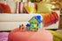 Dog House™ 13 Piece Set
