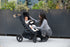 Era (E-480): Reversible Stroller