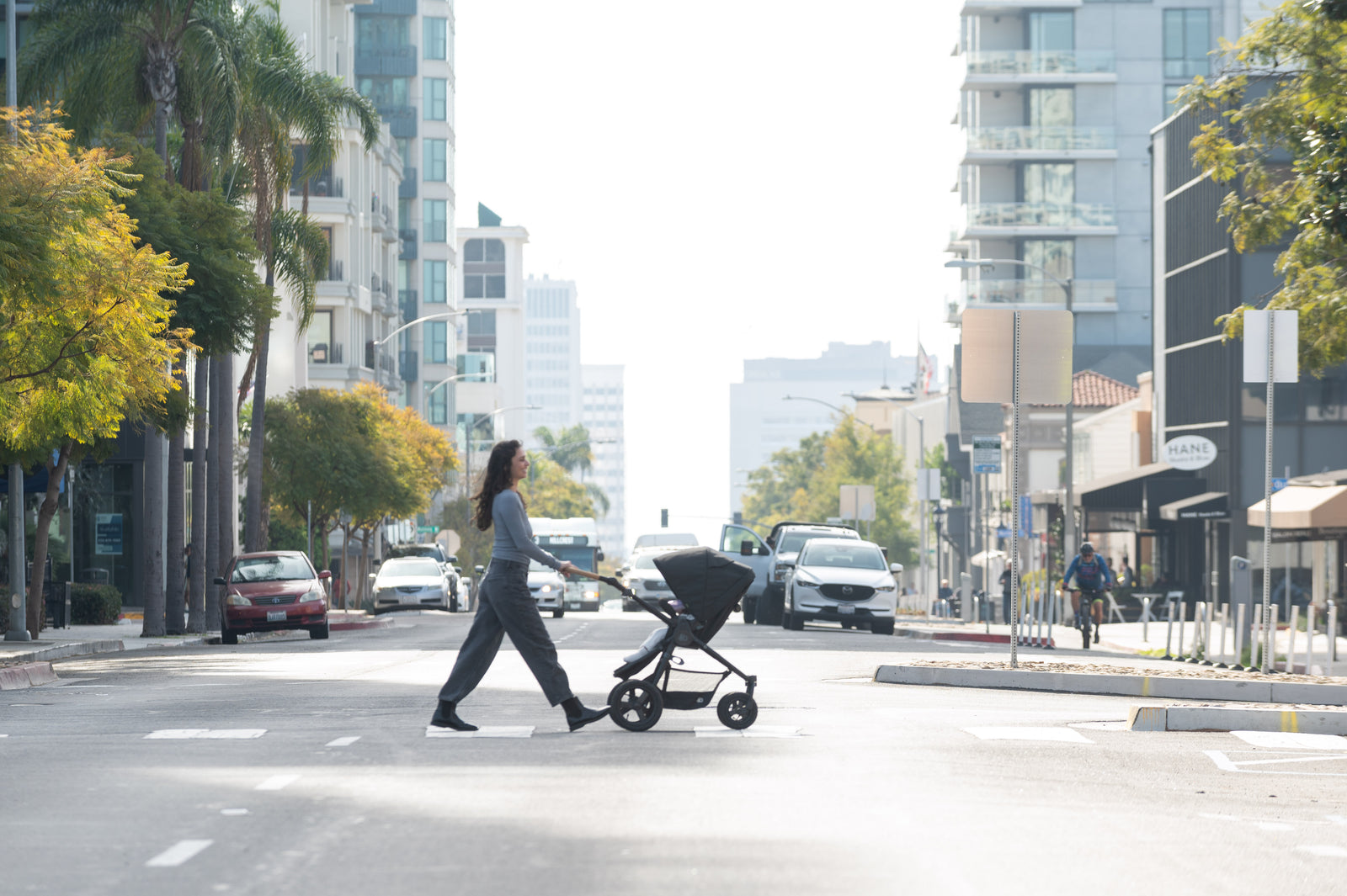 Era (E-480): Reversible Stroller