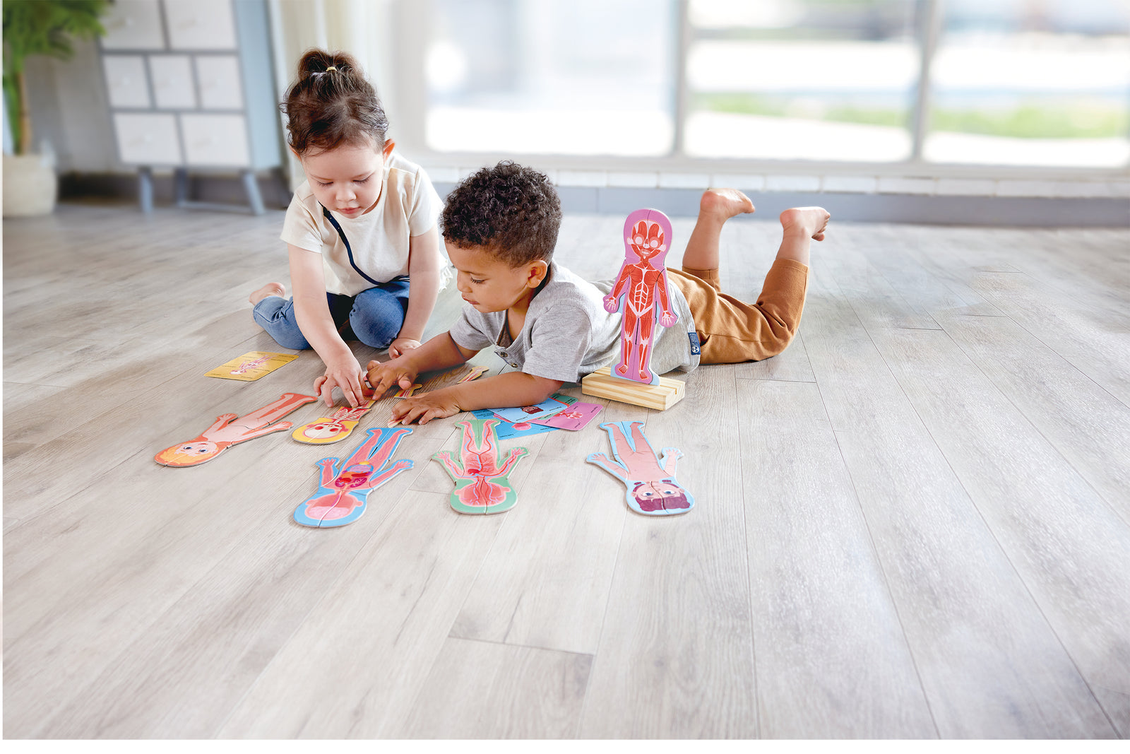 Human Body Magnetic Puzzle