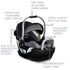 E1 D034 S WILLOW SC PINDOT ONYX 3 Master