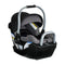 E1 D034 S Willow SC Pindot Onyx Hero R ATF US