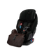 EXEC Convertible Car Seat