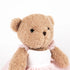 Egmont Toys Plush Dancer Bear Gift Pack