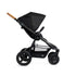 Era (E-480): Reversible Stroller