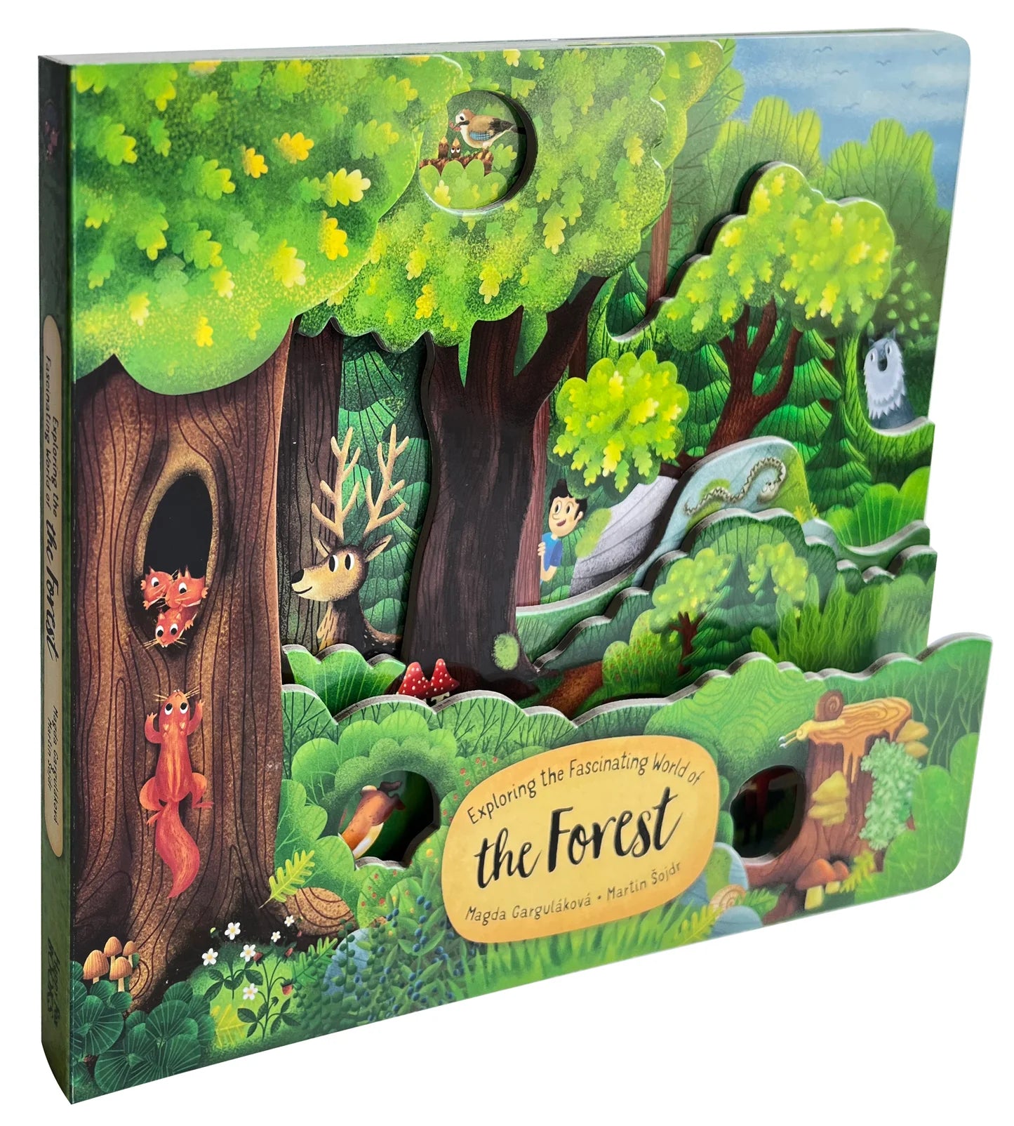 Fox Chapel Publishing Exploring the Fascinating World of the Forest