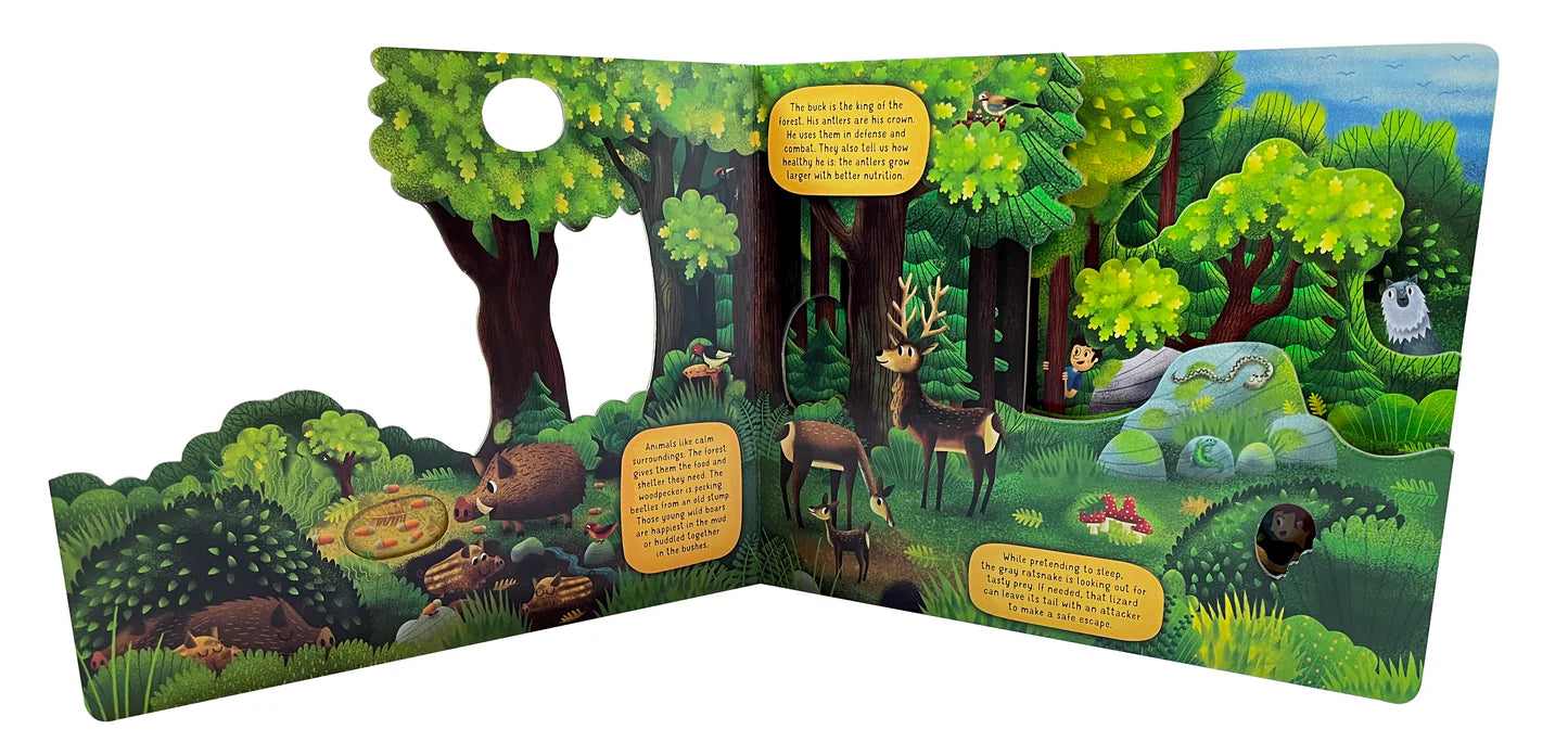 Fox Chapel Publishing Exploring the Fascinating World of the Forest