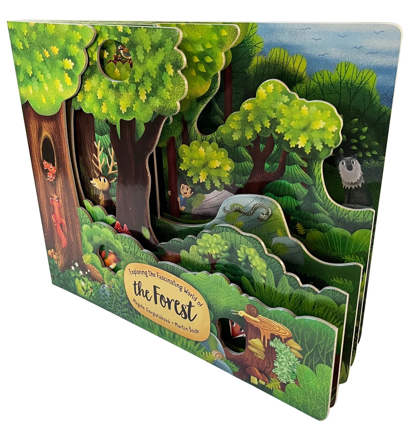 Fox Chapel Publishing Exploring the Fascinating World of the Forest