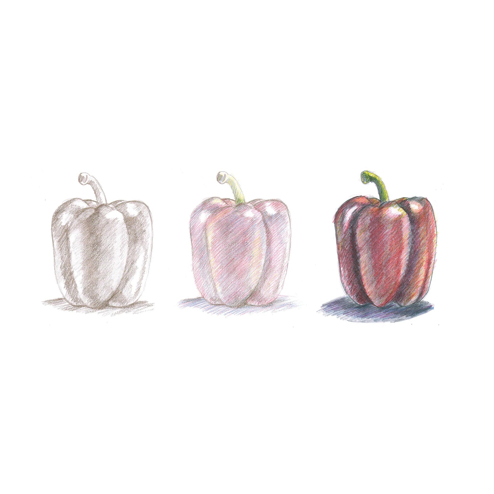 Faber Castell Do Art Color Pencil Art