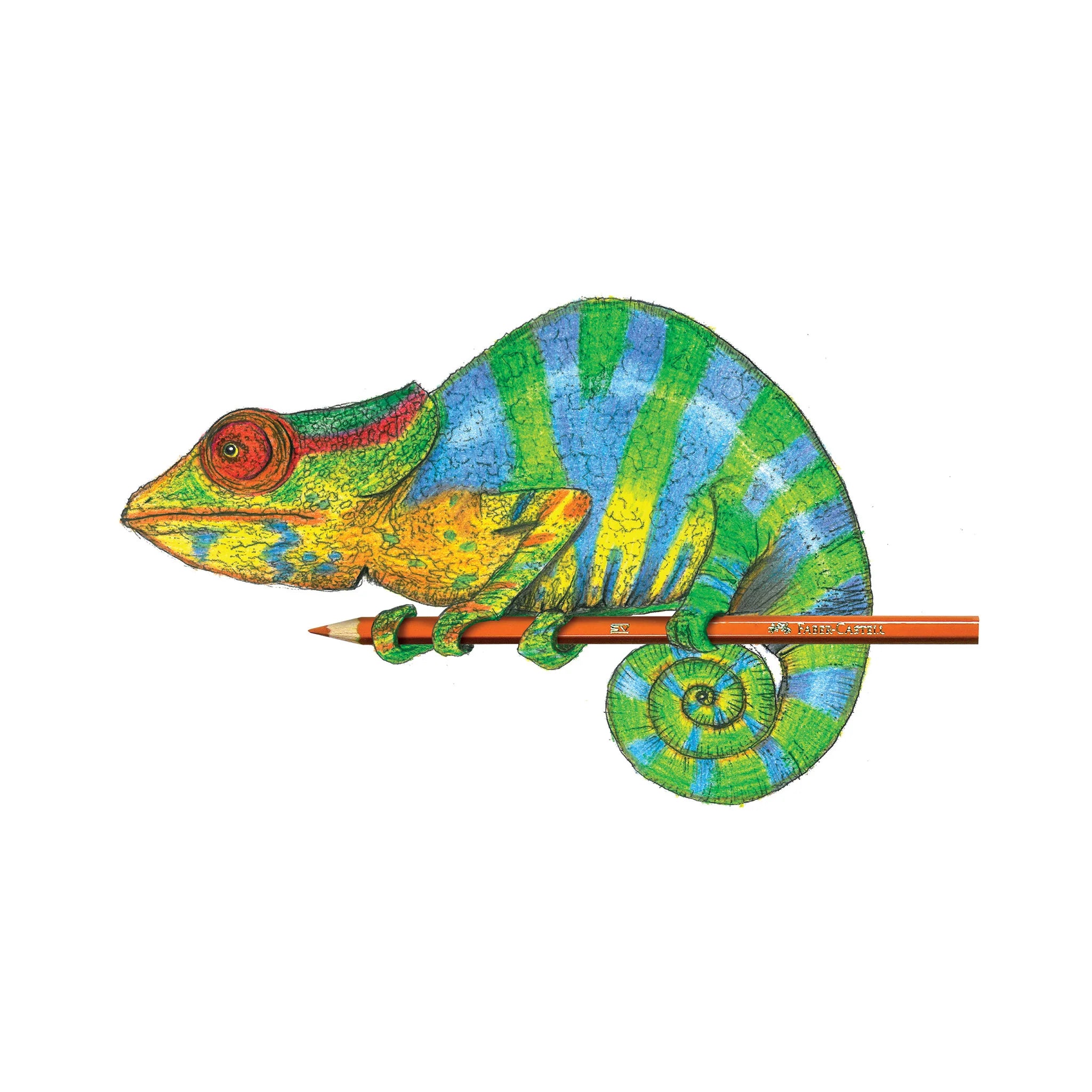 Faber Castell Do Art Color Pencil Art