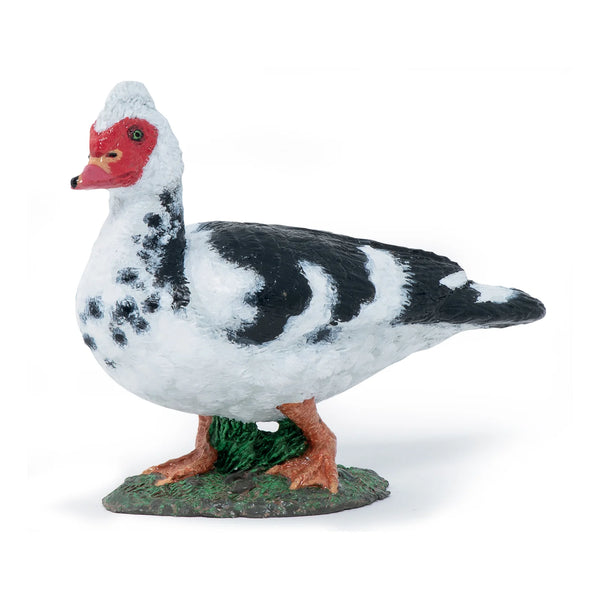 Figurine - Domestic Muscovy Duck