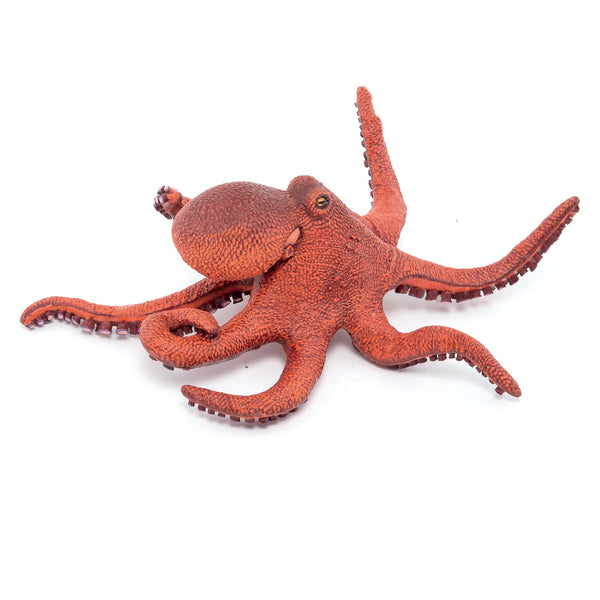 Figurine - Young Octopus
