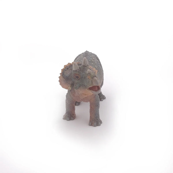 Figurine - Young Triceratops