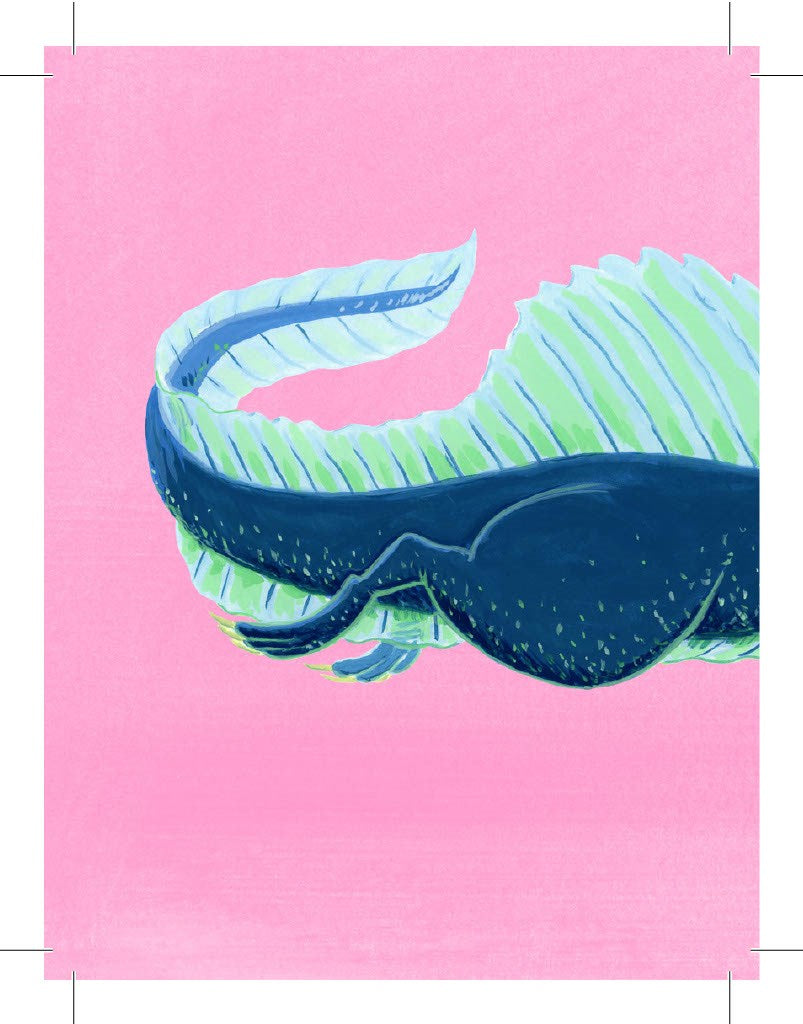 Find My Behind: Dino : A Memory Game