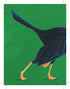 Find My Behind: Dino : A Memory Game