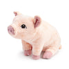 Maybe Flying Pig Plush