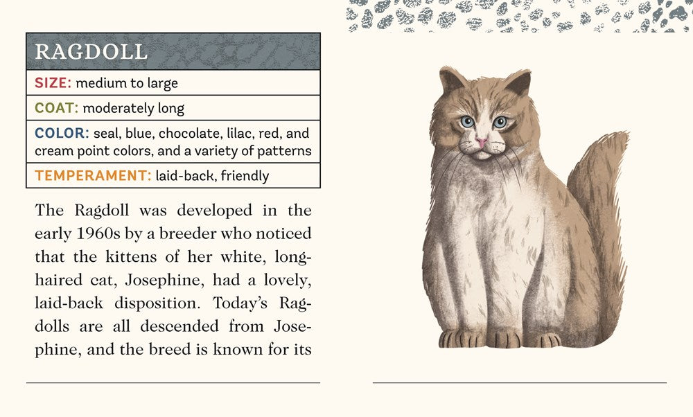 For the Love of Cats: A Wooden Magnet Set