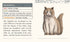 For the Love of Cats: A Wooden Magnet Set