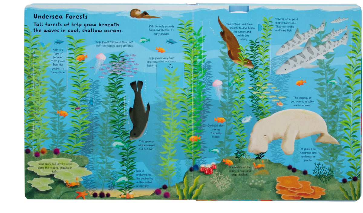 Fox Chapel Publishing Lift the Flap: Discovery! Oceans