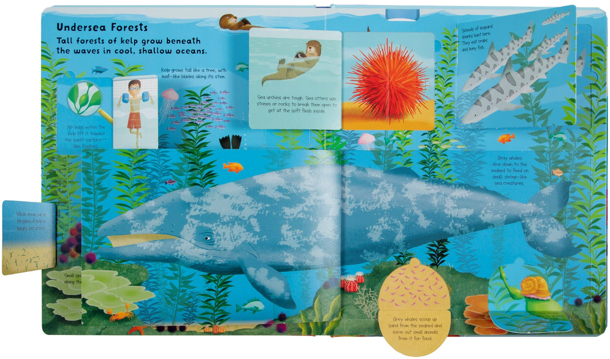 Fox Chapel Publishing Lift the Flap: Discovery! Oceans