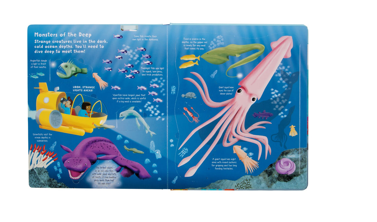 Fox Chapel Publishing Lift the Flap: Discovery! Oceans