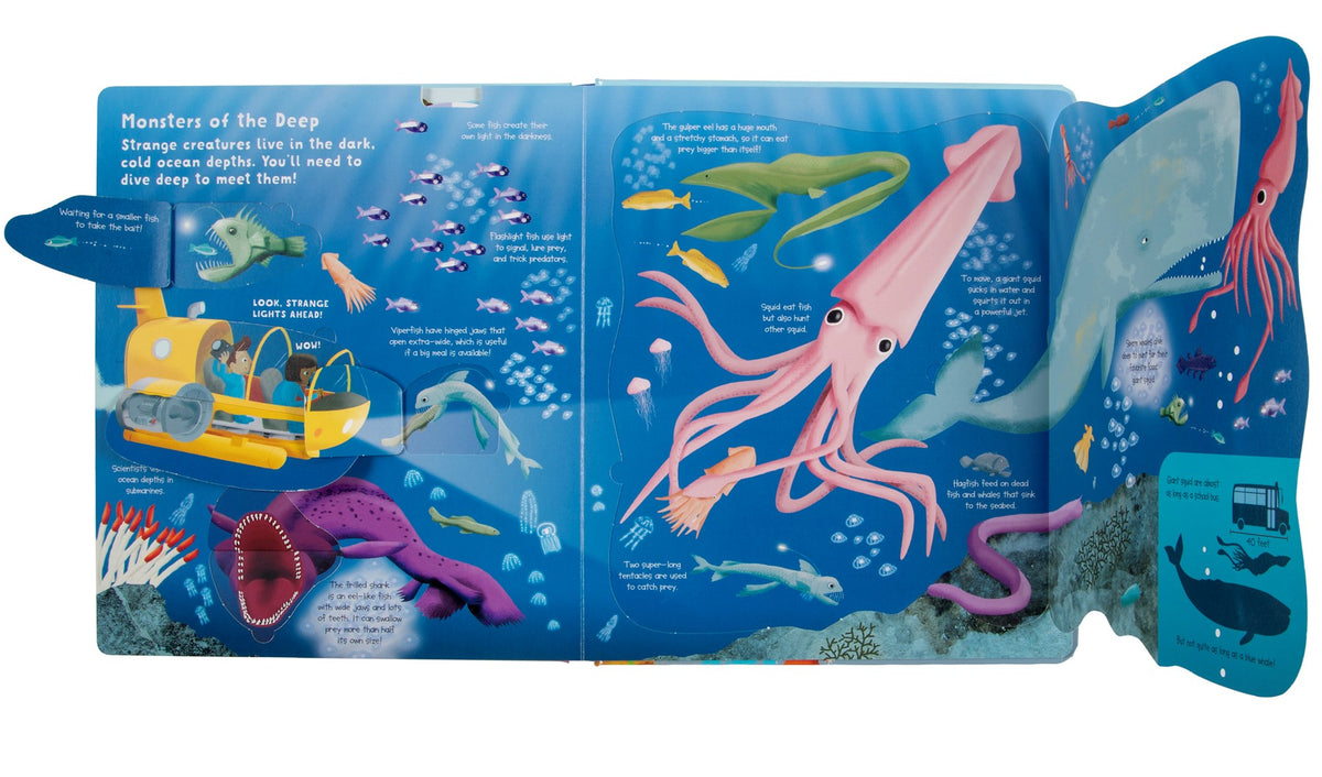 Fox Chapel Publishing Lift the Flap: Discovery! Oceans