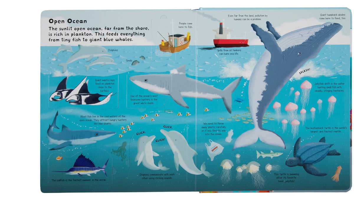 Fox Chapel Publishing Lift the Flap: Discovery! Oceans