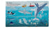 Fox Chapel Publishing Lift the Flap: Discovery! Oceans