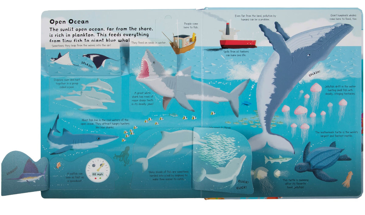 Fox Chapel Publishing Lift the Flap: Discovery! Oceans