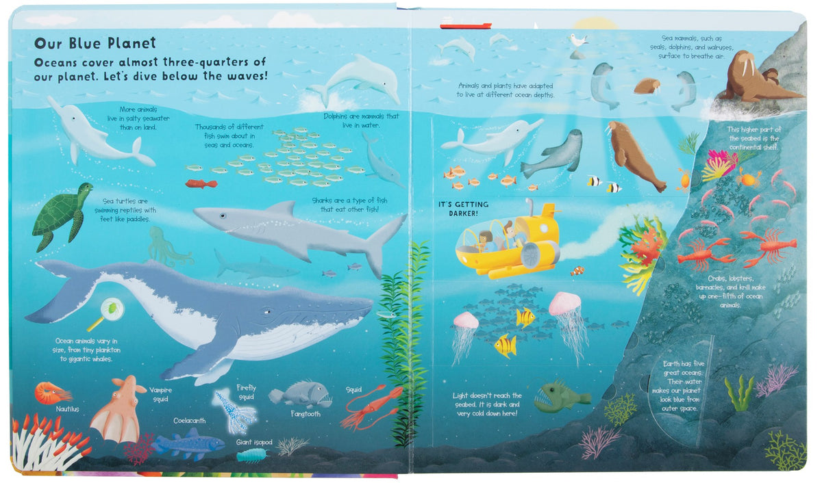 Fox Chapel Publishing Lift the Flap: Discovery! Oceans