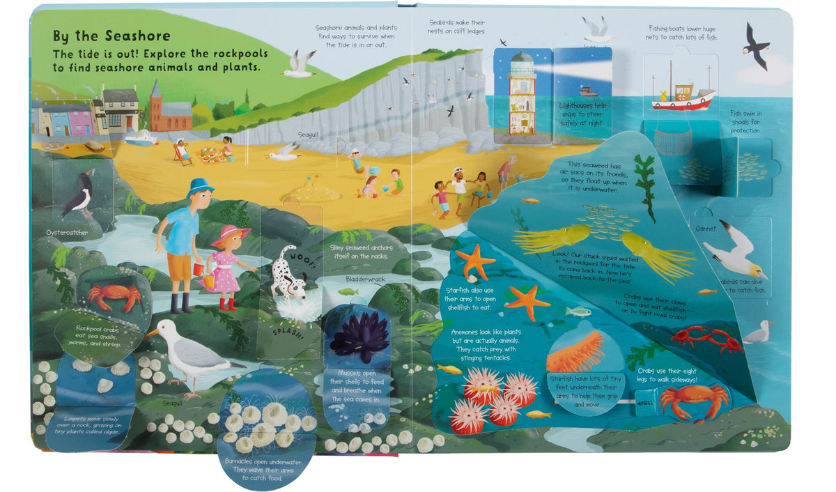 Fox Chapel Publishing Lift the Flap: Discovery! Oceans