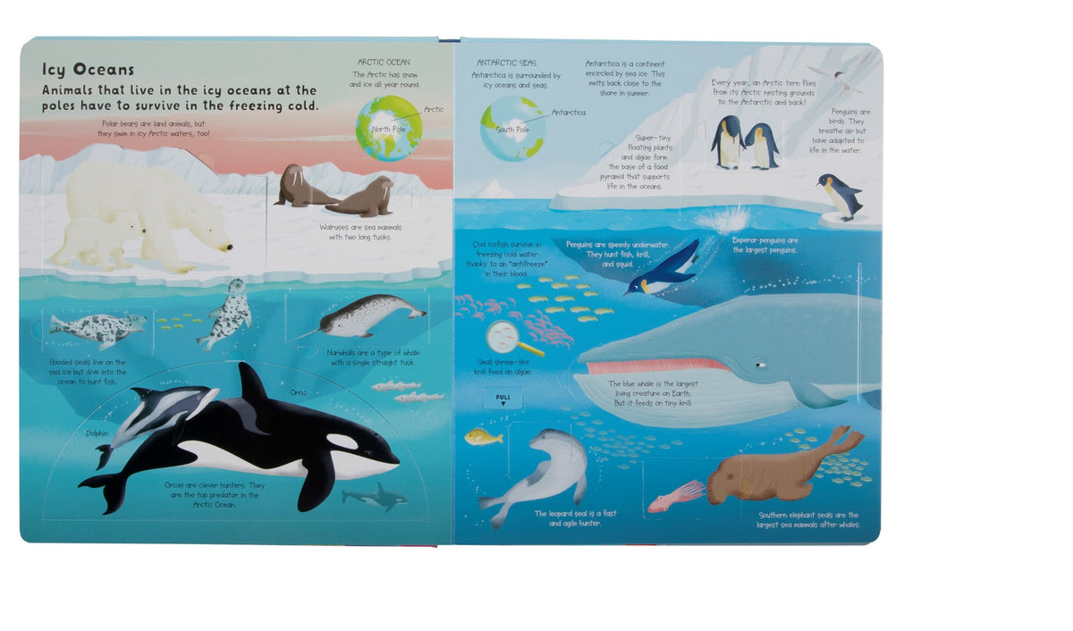 Fox Chapel Publishing Lift the Flap: Discovery! Oceans