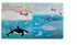 Fox Chapel Publishing Lift the Flap: Discovery! Oceans