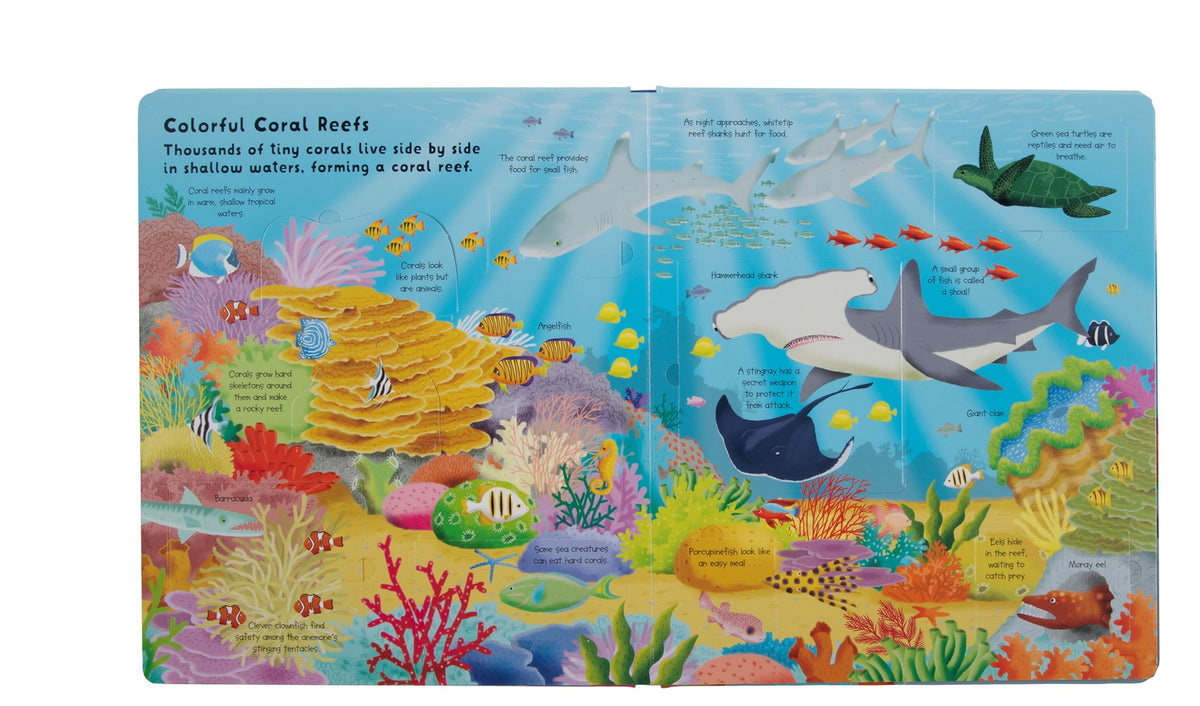 Fox Chapel Publishing Lift the Flap: Discovery! Oceans