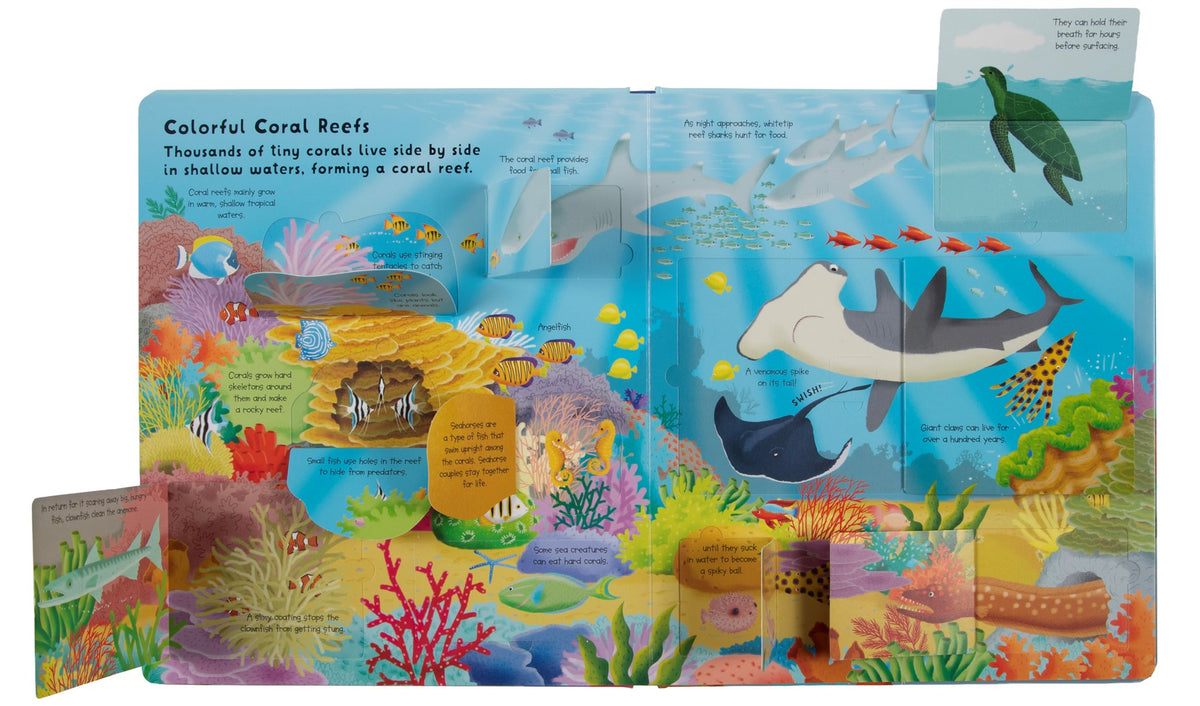 Fox Chapel Publishing Lift the Flap: Discovery! Oceans