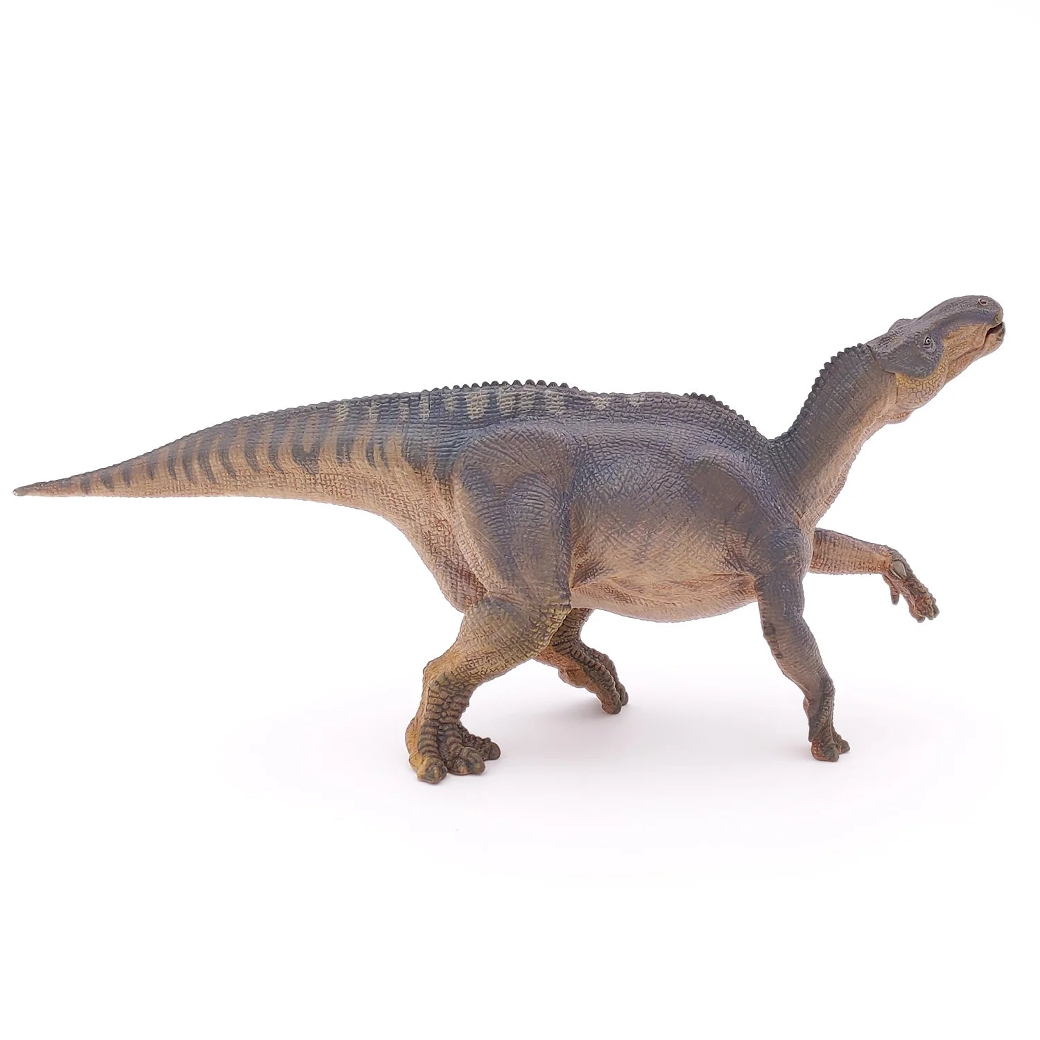 Figurine  -  Iguanodon