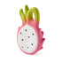 Oli & Carol Fucsia The Dragonfruit Baby Teether