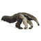 Giant Anteater