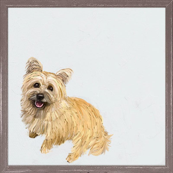 Good Boy Cairn Terrier, Mini Framed Canvas