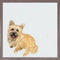 Good Boy Cairn Terrier, Mini Framed Canvas
