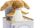 Kids Preferred Guess How Much I Love You Jack-in-the-Box