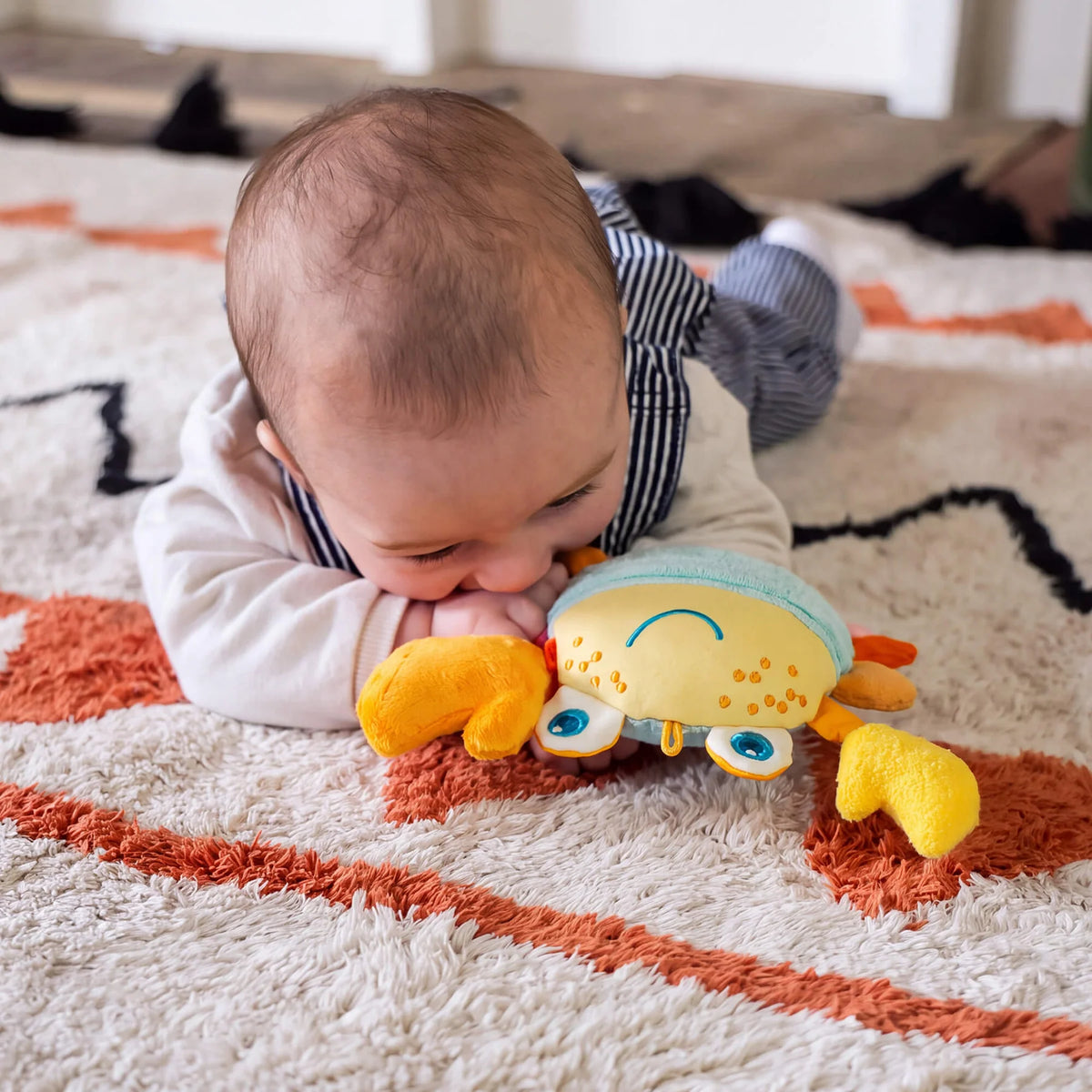 Haba Crabby Sensory Baby Toy