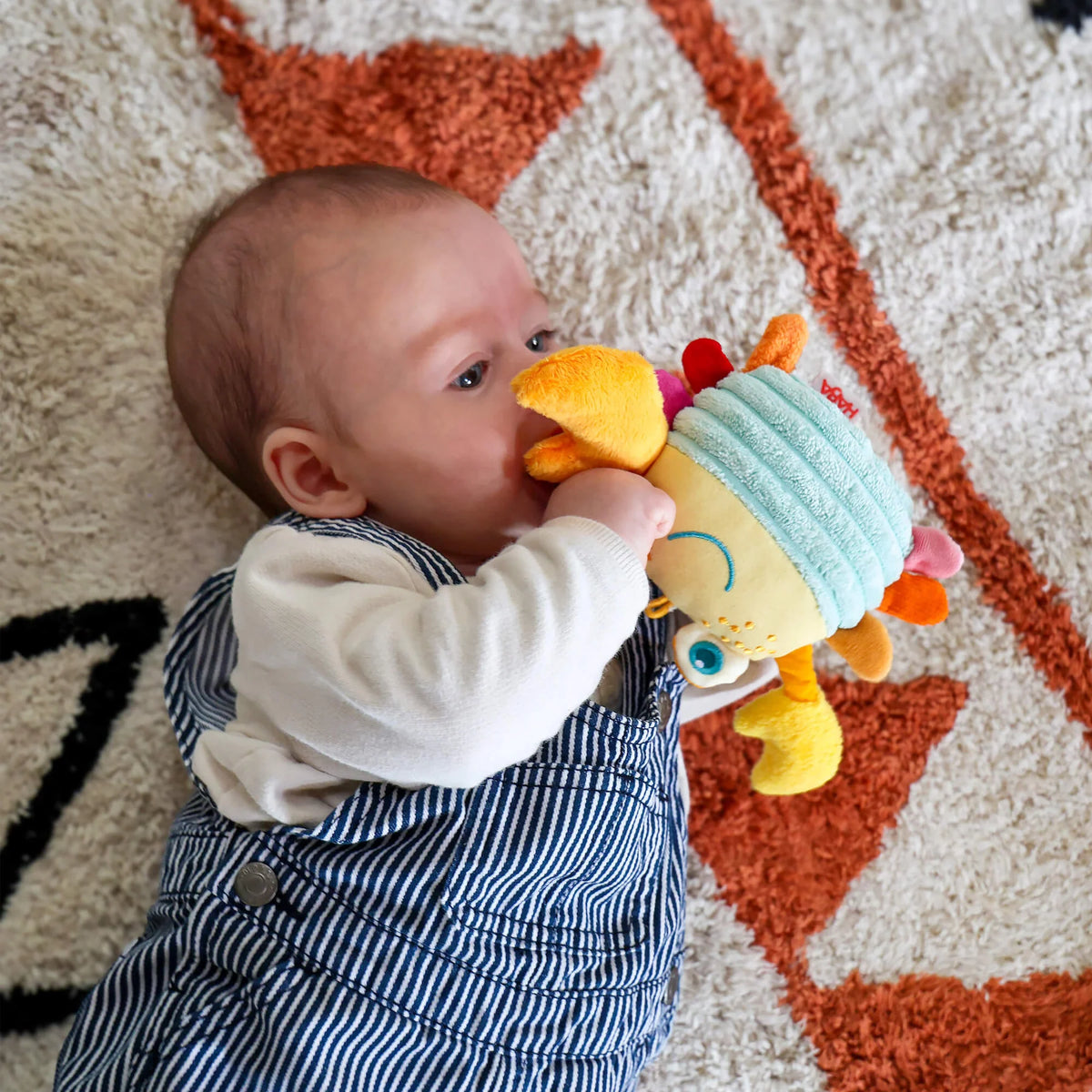 Haba Crabby Sensory Baby Toy