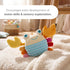 Haba Crabby Sensory Baby Toy