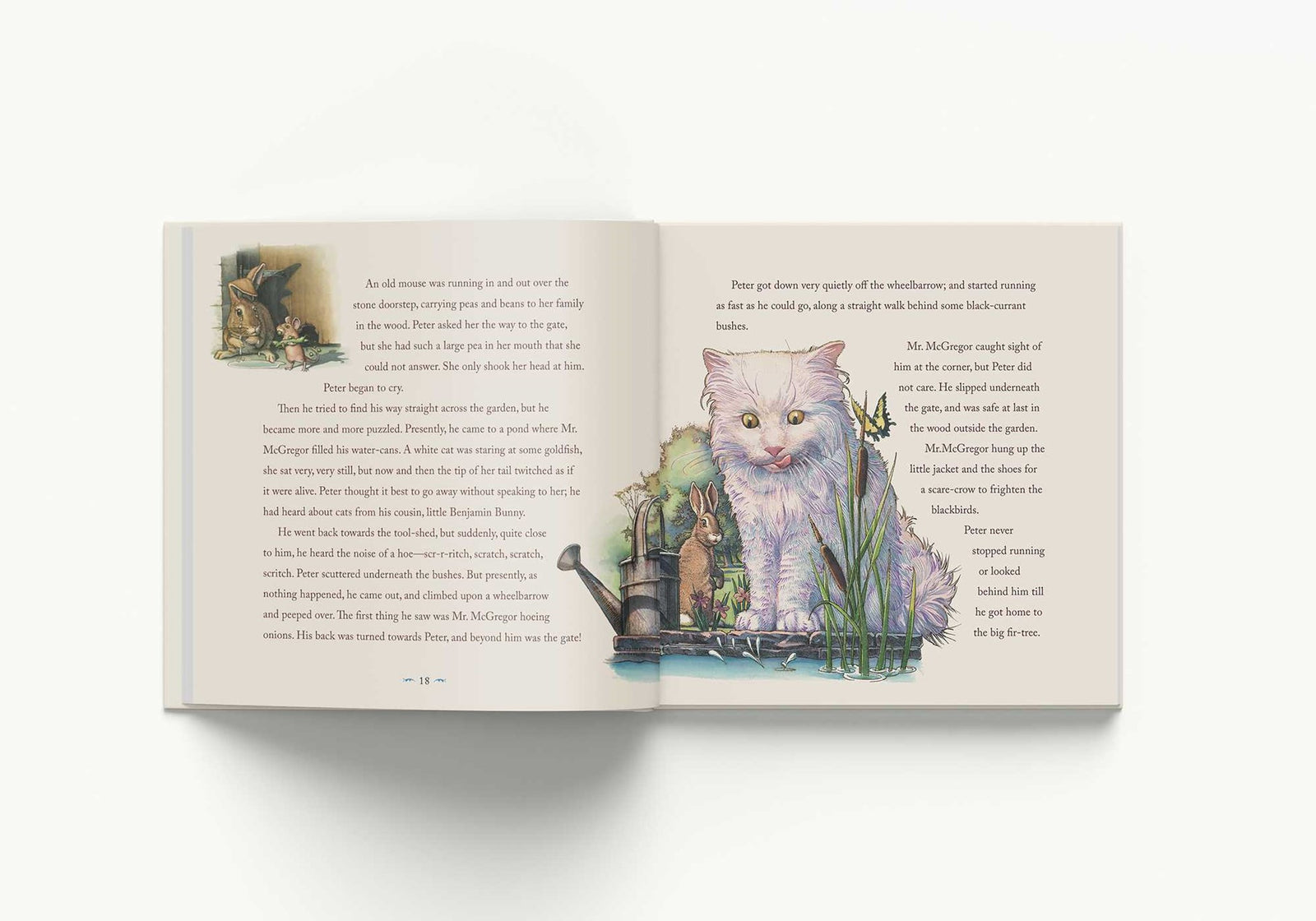 Harper Collins Focus The Classic Tale of Peter Rabbit Hardcover: The Classic Edition by acclaimed Illustrator, Charles Santore